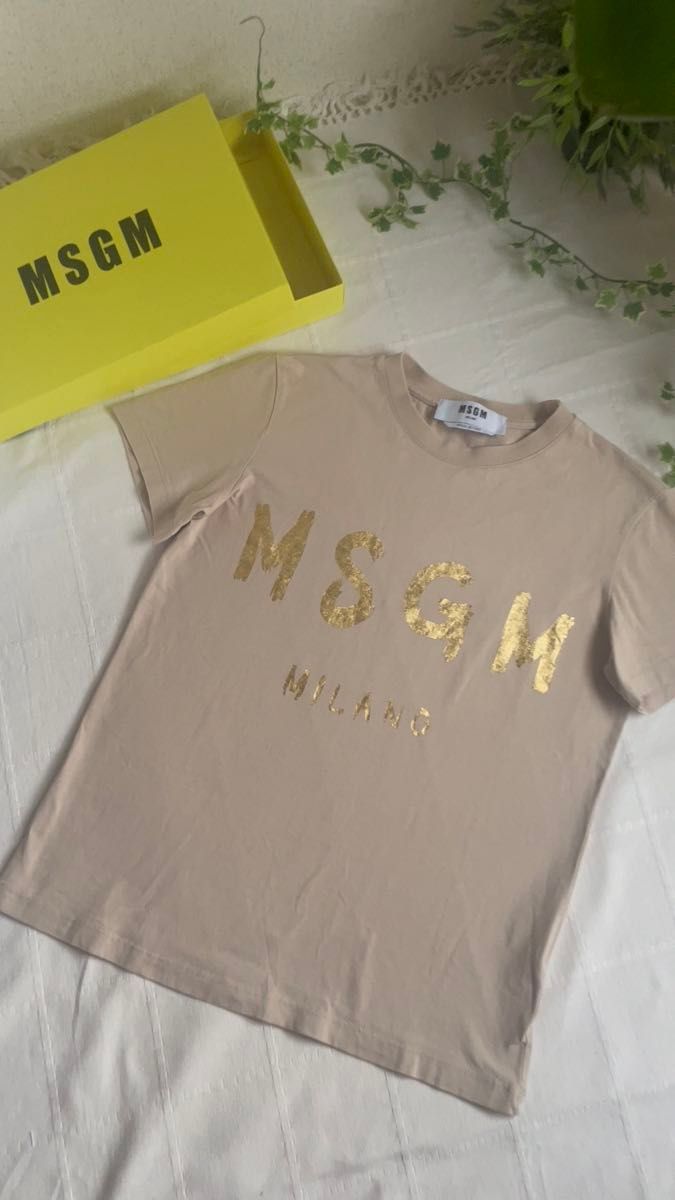 人気MSGM【極美品】半袖 Tシャツ S 