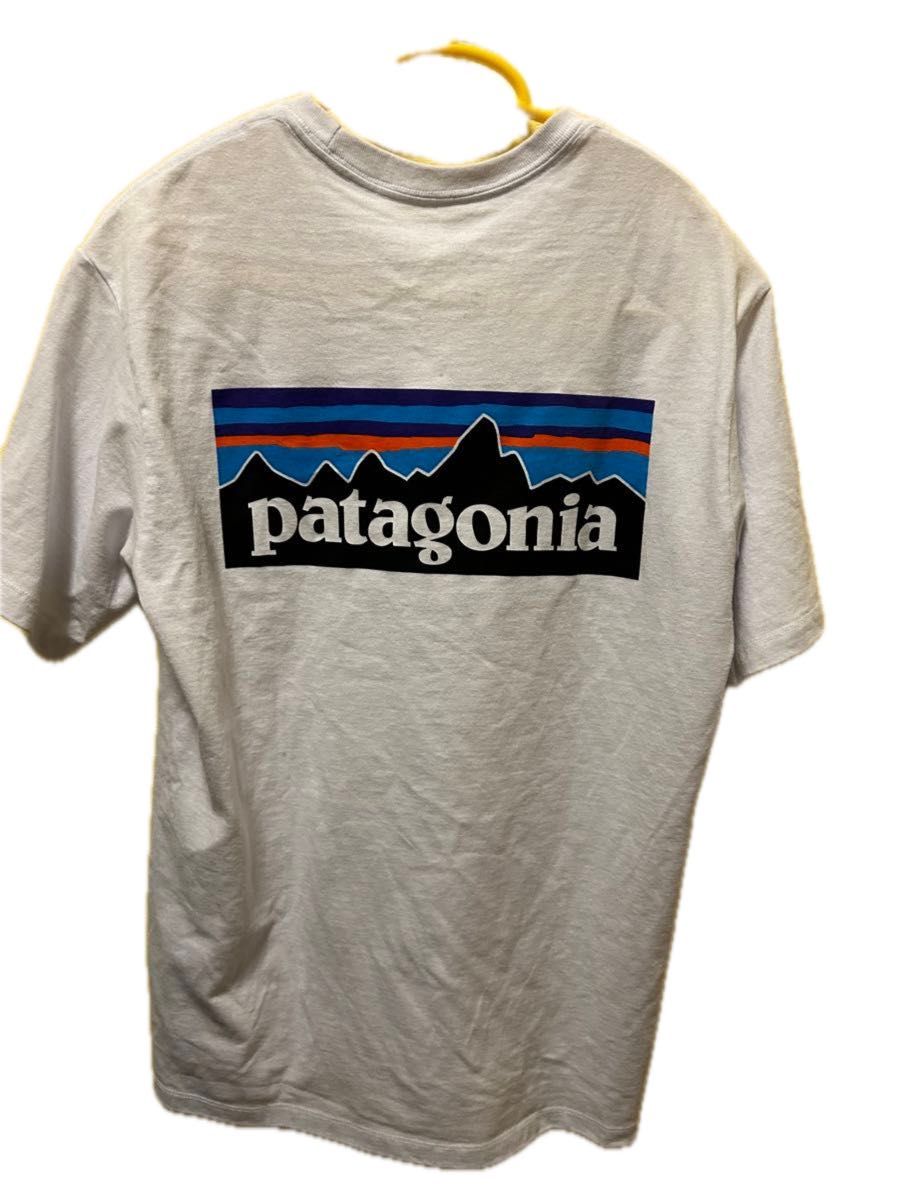 Tシャツ 半袖 patagonia パタゴニア 白 バックプリント