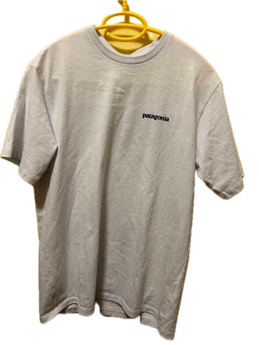 Tシャツ 半袖 patagonia パタゴニア 白 バックプリント