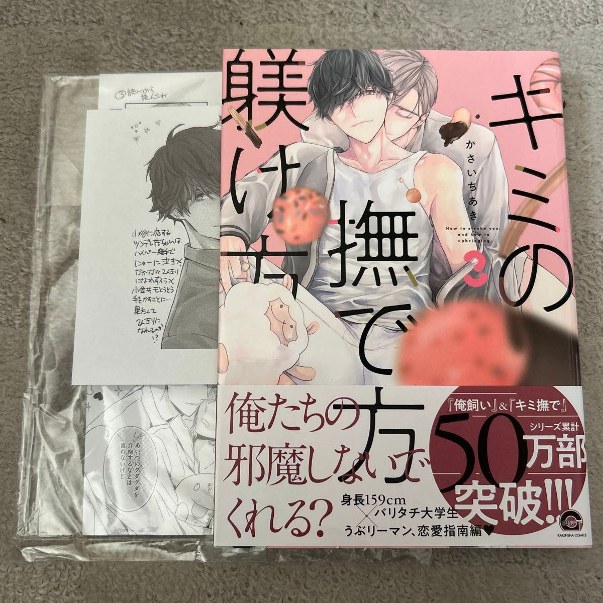 BLコミック   キミの撫で方躾け方 3巻  かさいちあき  アニメイト有償特典小冊子付き