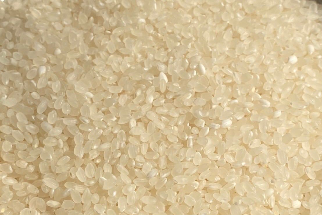 栃木産　白米　お米　限定　うるち米　格安　精米 10kg 令和5年　送料無料　送料込み　最安値　rice　新米 無洗米　美味しい_画像2