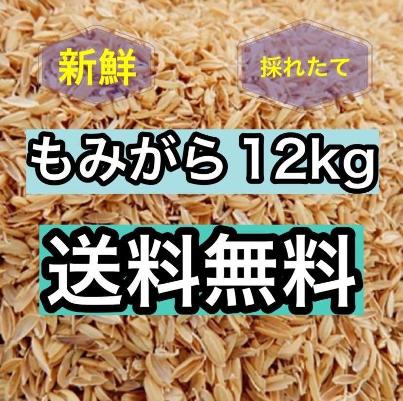 もみがら　籾殻　国産　栃木　送料無料　送料込み　12kg 新鮮　お得　お得用　もみ殻　1_画像1