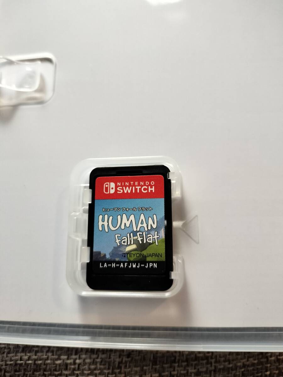 ほぼ未使用 ヒューマンフォールフラット Switch_画像3