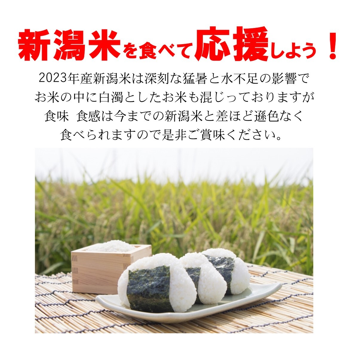 令和5年産 新潟県産 コシヒカリ 玄米30kg うまい米 米専門 みのりや ポイント消化 送料無料_画像2