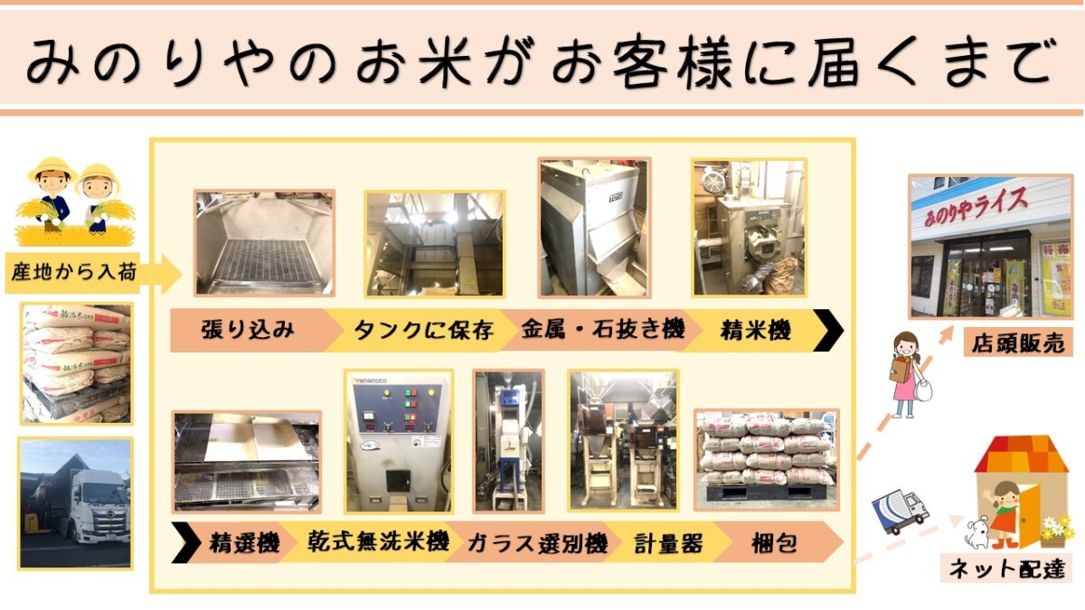 令和5年産 新潟県産コシヒカリ10kg うまい米 米専門 みのりや（玄米）ポイント消化 送料無料の画像9