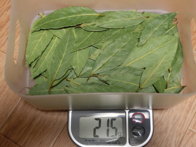 無農薬・無化学肥料のローレル　月桂樹の葉　約２０ｇ　カレーリーフ少々のオマケ付き　②_重量の一例