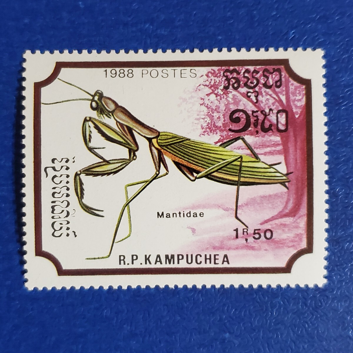 カンボジアの昆虫切手★1988年 昆虫７種 未使用切手の画像7