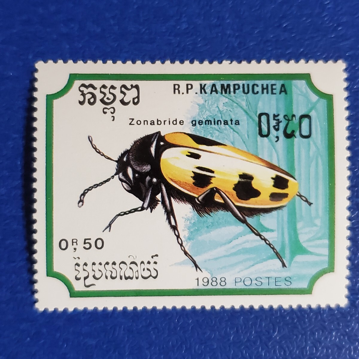 カンボジアの昆虫切手★1988年 昆虫７種 未使用切手の画像4