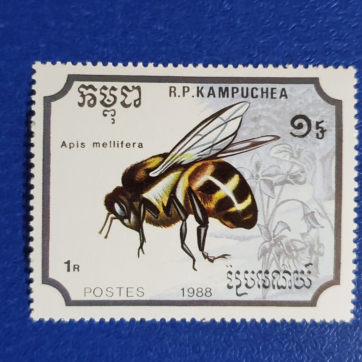 カンボジアの昆虫切手★1988年 昆虫７種 未使用切手の画像6