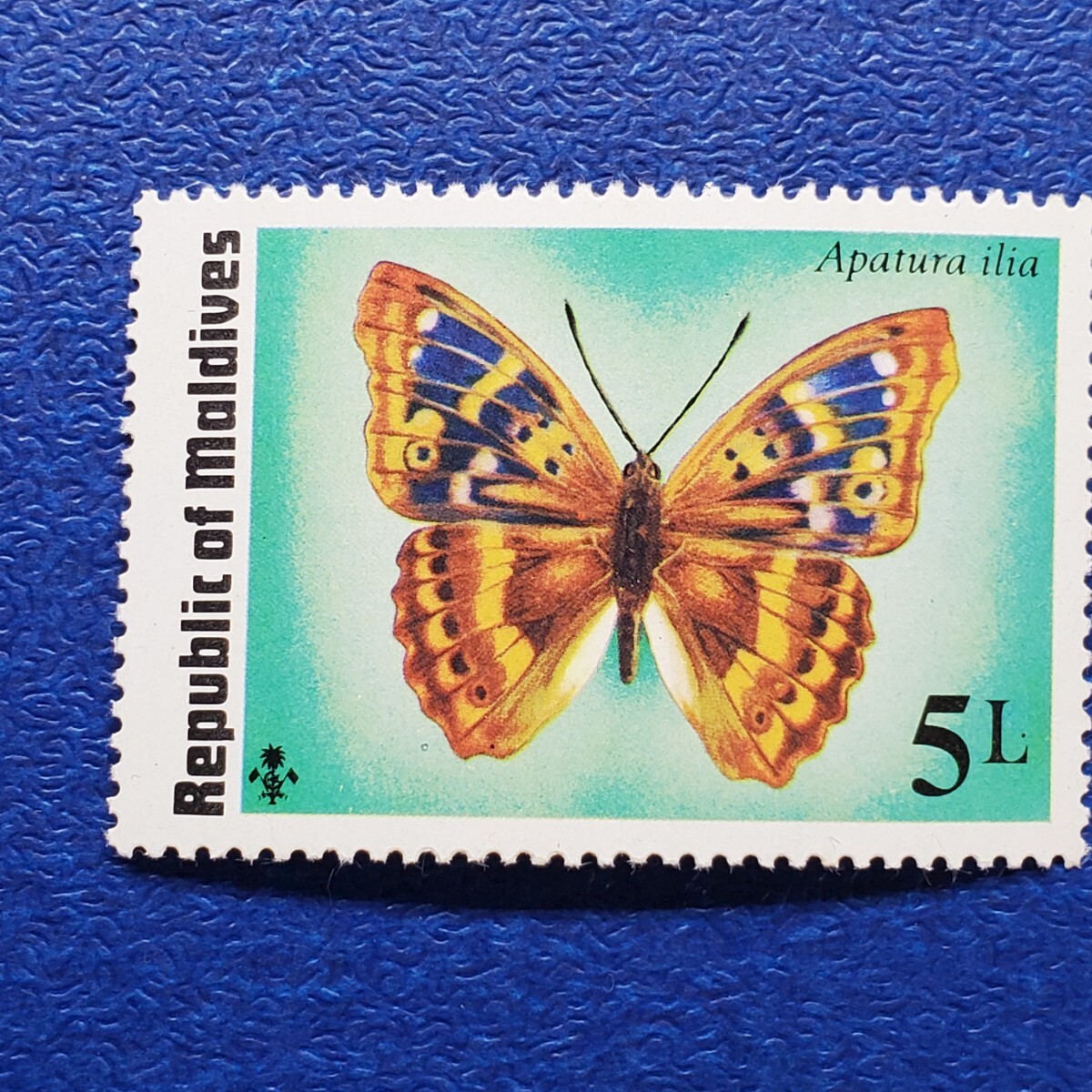 モルディブ★蝶の切手 計8枚 未使用切手 バタフライ  昆虫切手の画像7