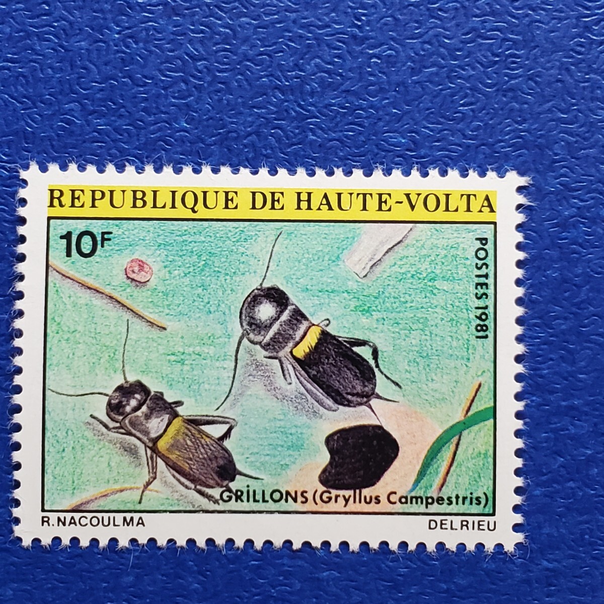 オートボルタ共和国★1981年　昆虫６種　未使用切手　ブルキナファソ_画像4