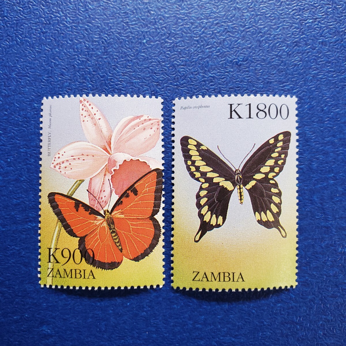 ザンビア★蝶２種　バタフライ　蝶の紋章　未使用切手　_画像1