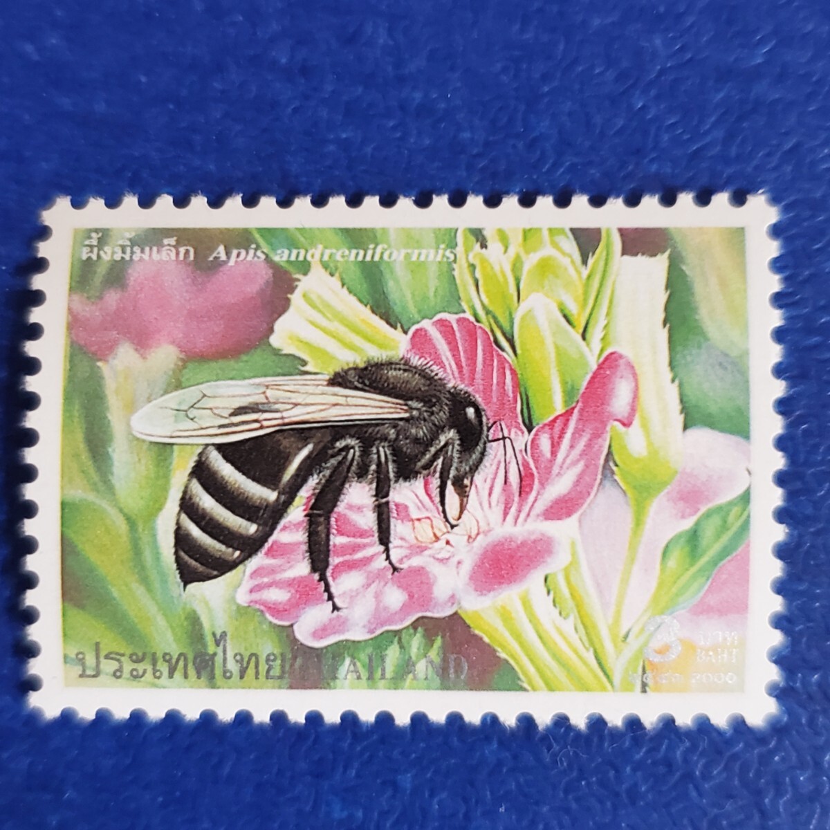 タイのミツバチ★花とミツバチ４種　2000年　未使用切手_画像6