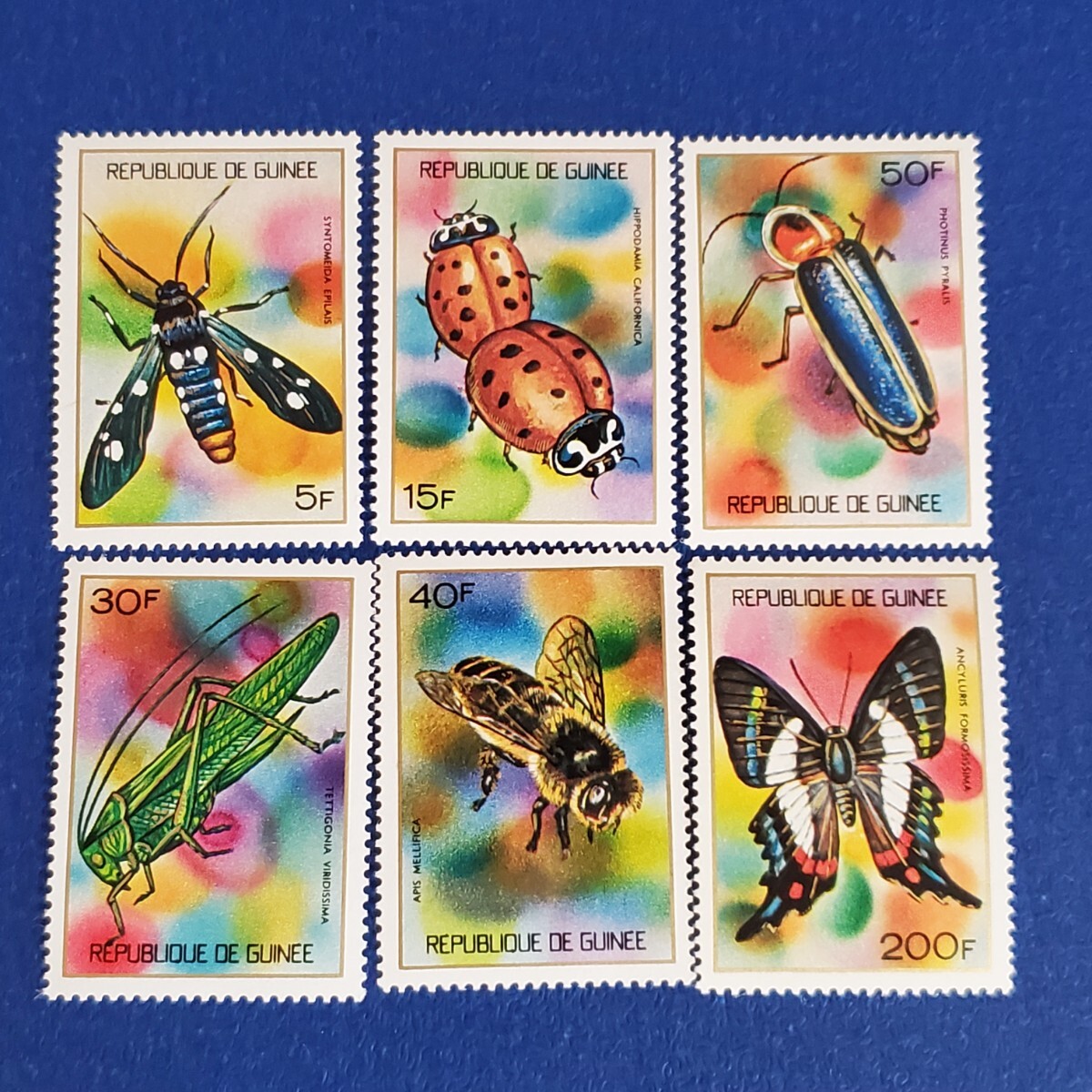 ギニア共和国★1973年　昆虫６種　未使用切手_画像1