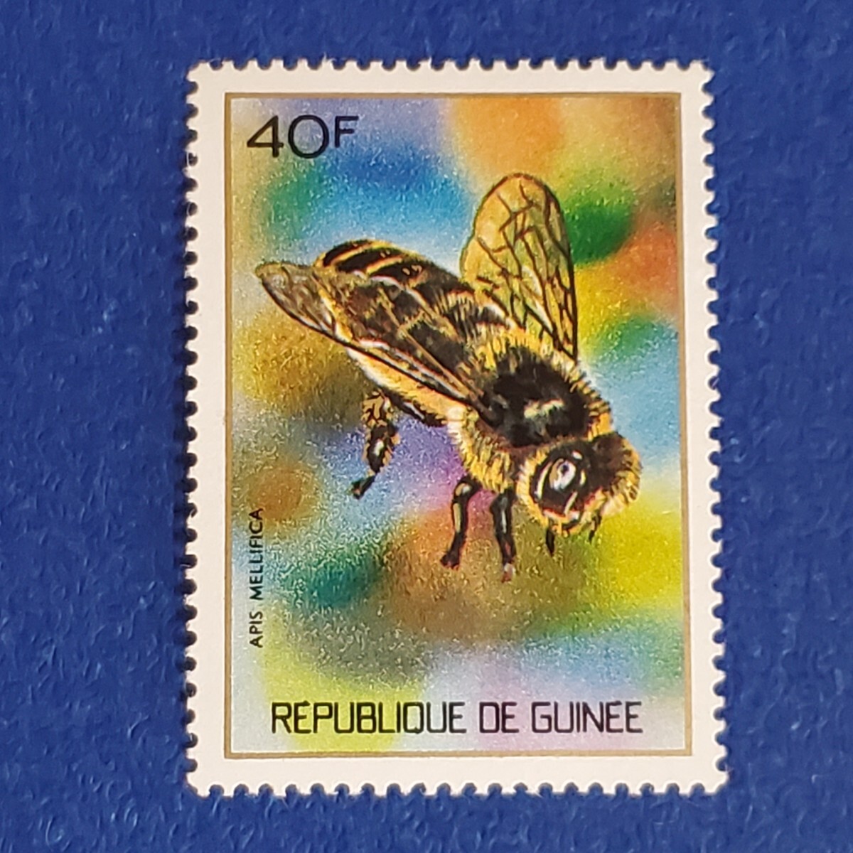 ギニア共和国★1973年　昆虫６種　未使用切手_画像7