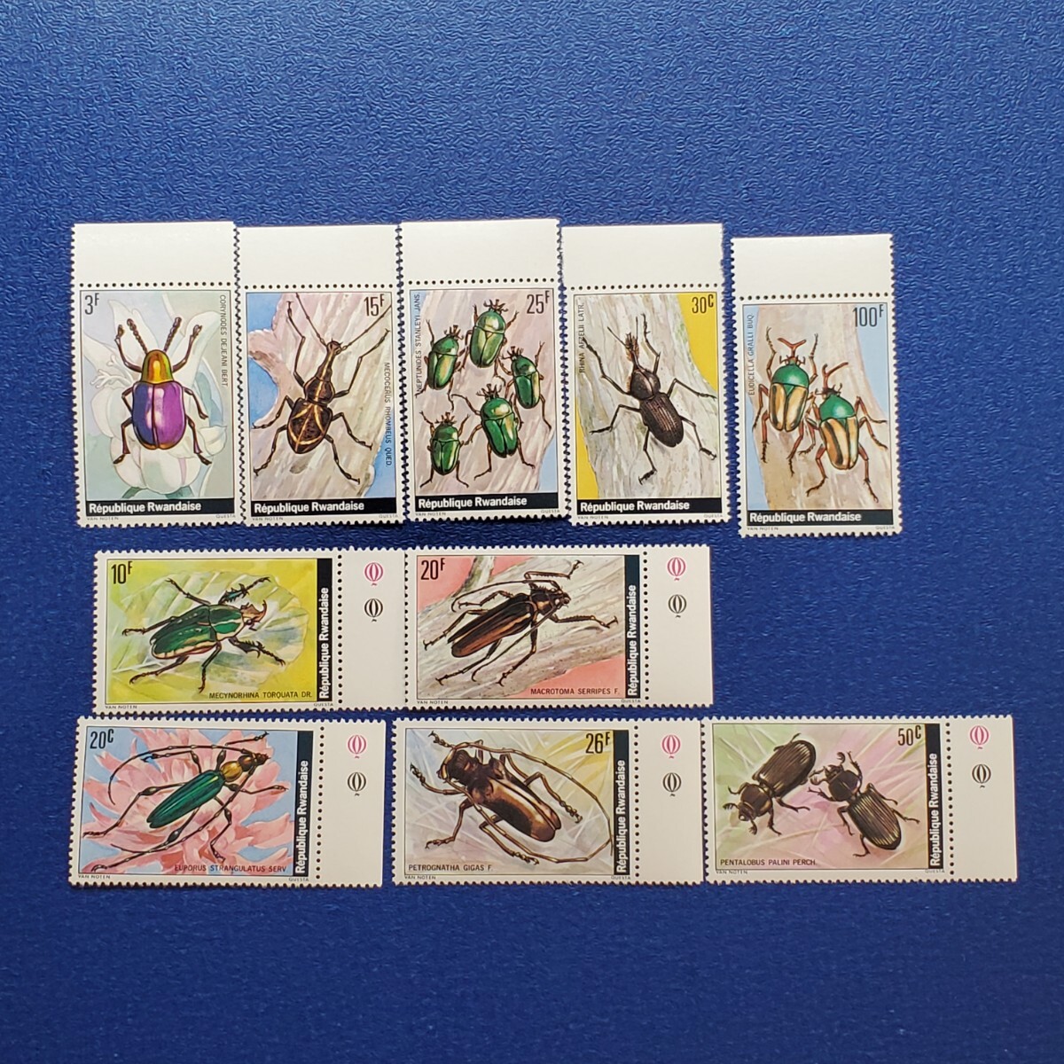 ルワンダ★1978年　昆虫１０種　未使用切手_画像1
