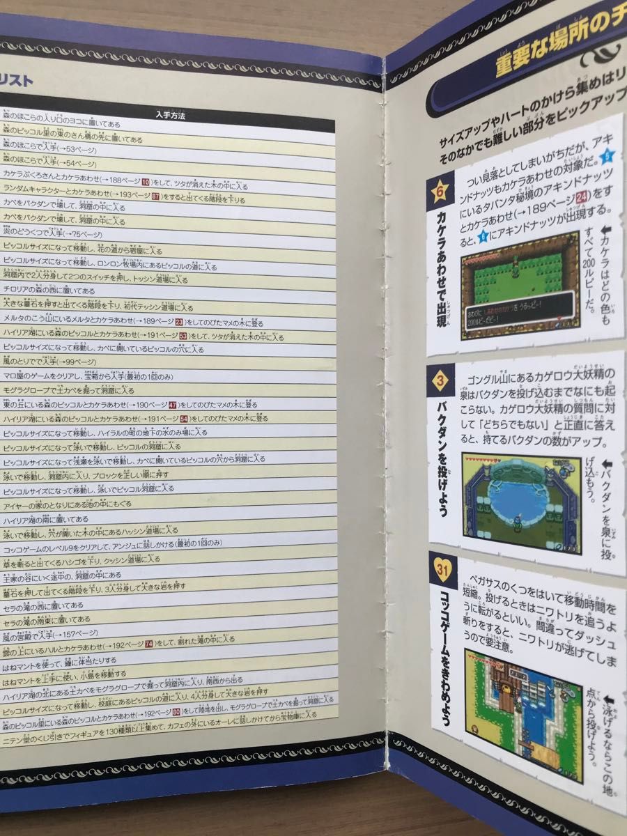 ゼルダの伝説 ふしぎのぼうし 迷わず進める！ ハイラル冒険ブック／デンゲキゲームキューブ編集部 (編者)