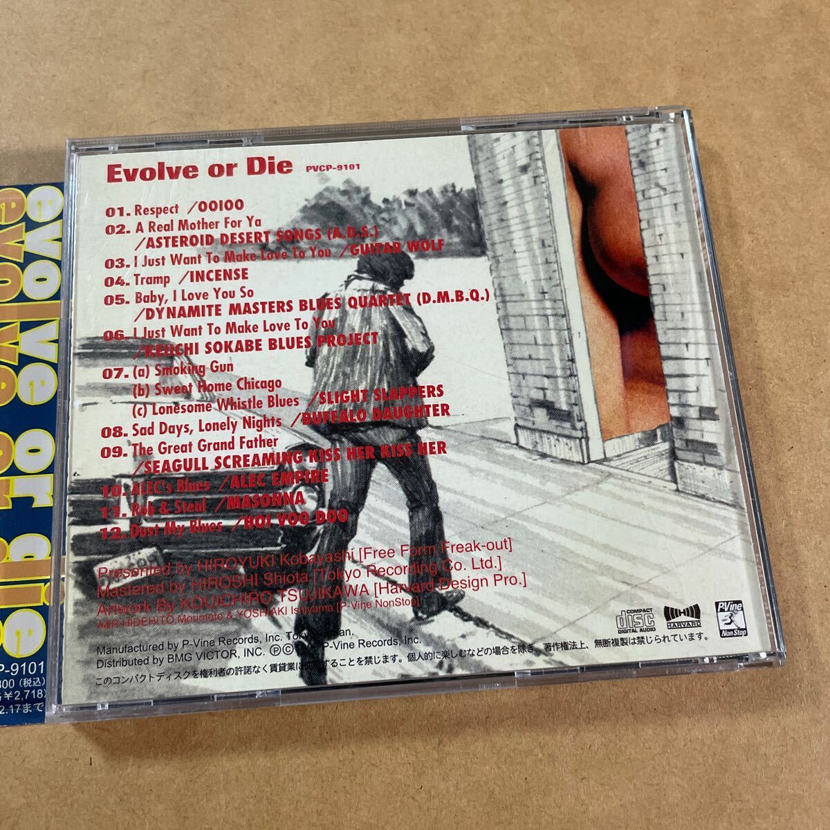 EVOLVE OR DIE Blues Tribute OOIOO,A.D.S.ギターウルフ,DMBQ 増子真二,曽我部恵一,SLIGHT SLAPPERS,BUFFALO DAUGHTER,ALEC EMPIRE,MASONNA_画像2