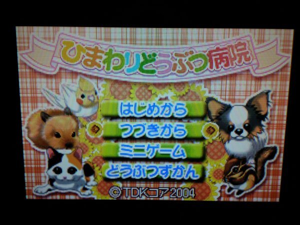 DS＋GBA　おしゃれな仔犬DS＋かわいい仔犬DS＋ひまわりどうぶつ病院＋なかよし幼稚園＋かわいい子猫　お買得９本セット(ソフトのみ)_画像9