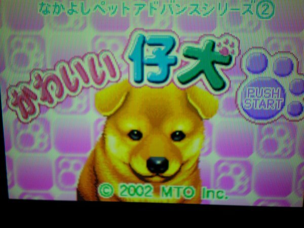 DS＋GBA　おしゃれな仔犬DS＋かわいい仔犬DS＋ひまわりどうぶつ病院＋なかよし幼稚園＋かわいい子猫　お買得９本セット(ソフトのみ)_画像8