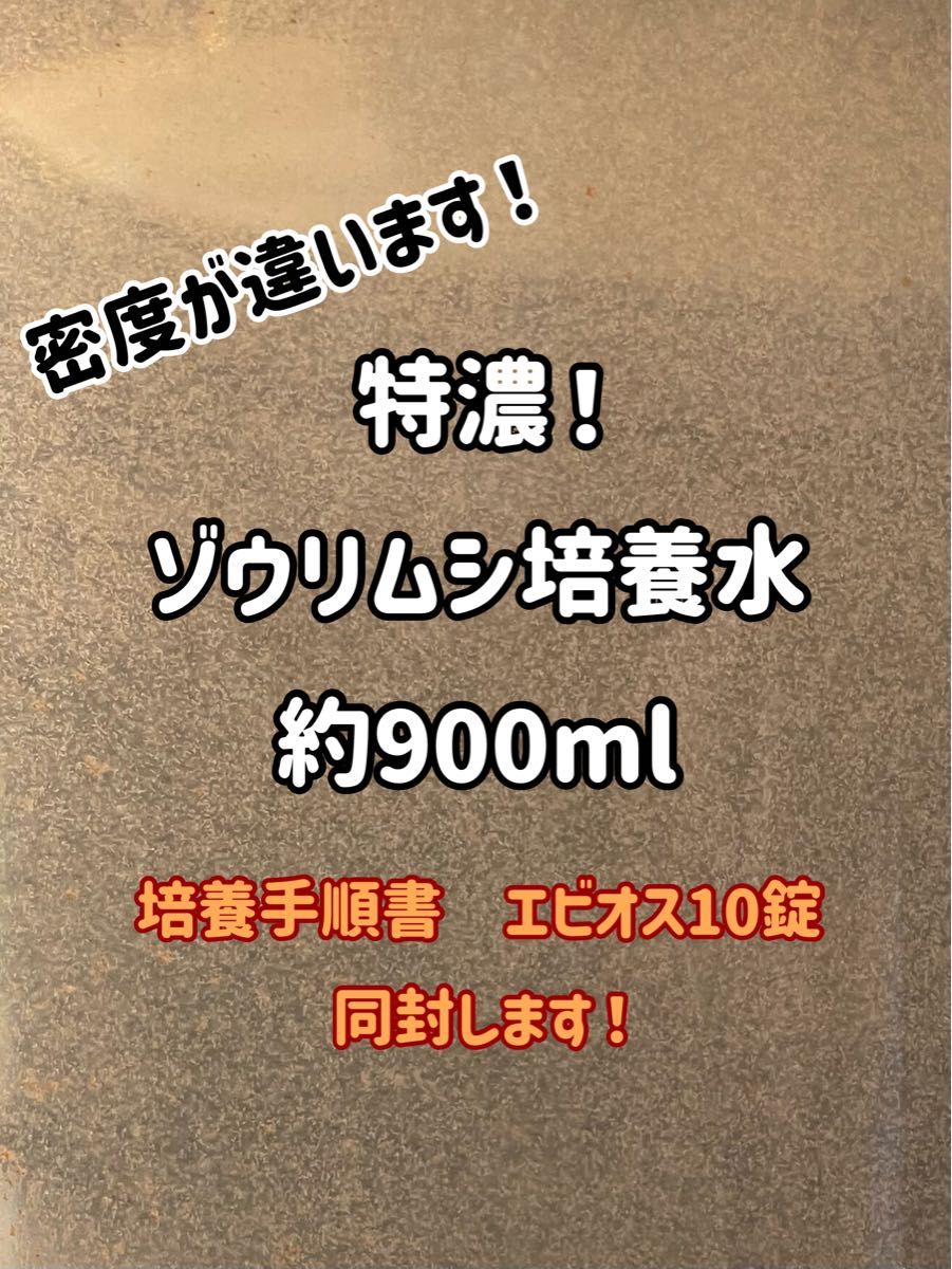 特濃！送料無料！ゾウリムシ培養水約900ml！培養手順書とエビオス10錠同封！