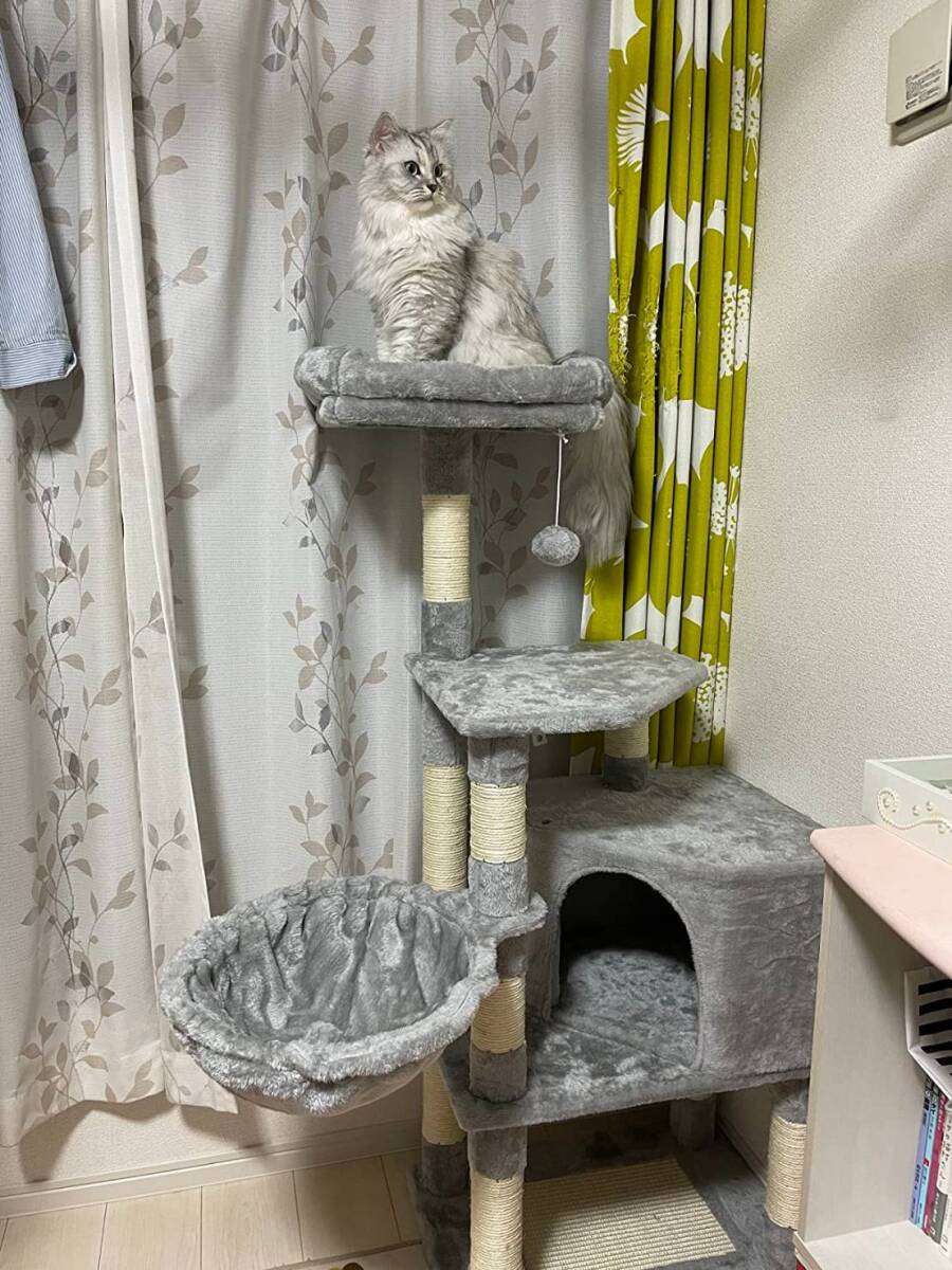 大型猫もOKの室内用キャットタワー、ハンモック付き