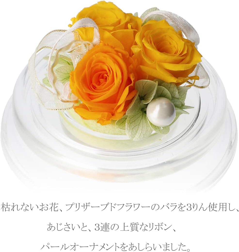  easy to use preserved flower gift present for po M design ( Hierro 
