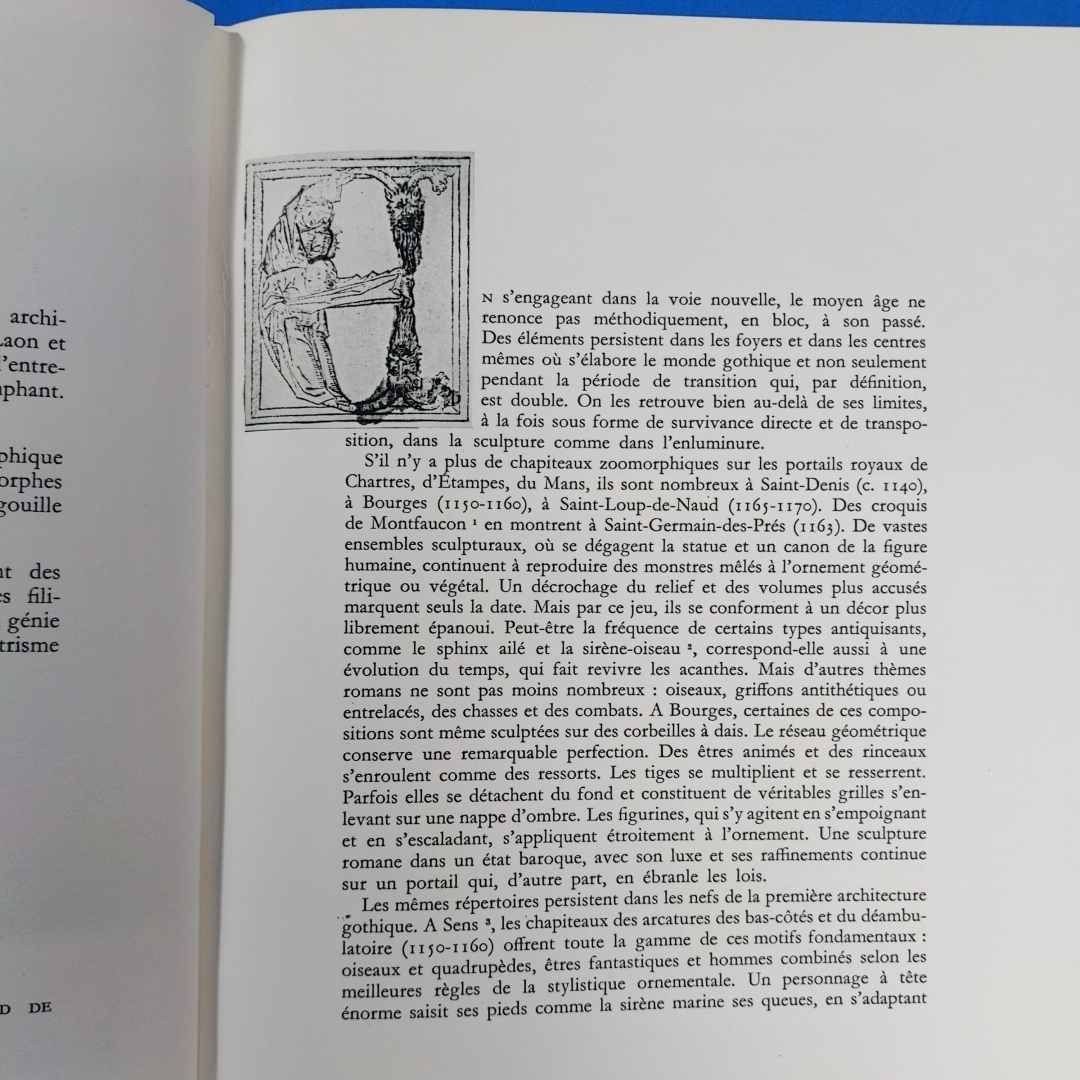 「バルトルシャイティス『目覚めと驚異 幻想のゴシック 1960 Reveils et Prodiges. Le Gothique fantastique』Jurgis Baltrusaitis 」の画像9