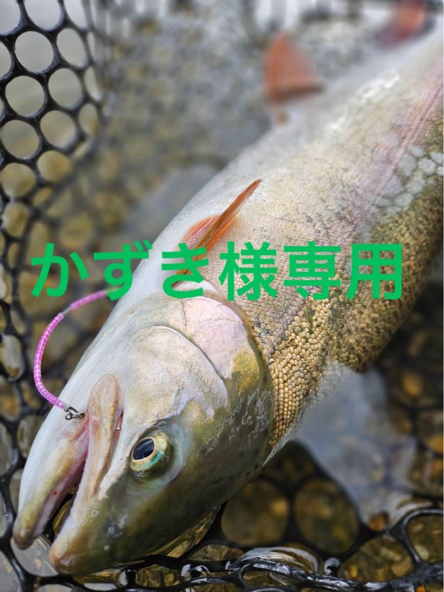 【かずき様専用】管釣り　エリアトラウト 海鱒スパイラルPro 4本セット