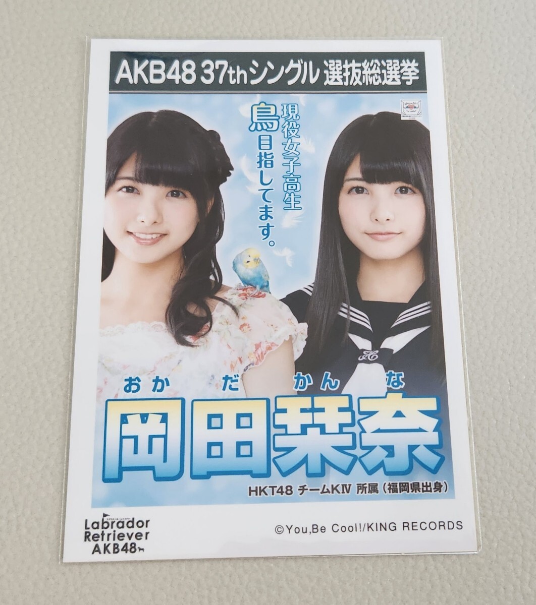 HKT48 岡田栞奈 AKB48 ラブラドール・レトリバー 劇場盤 生写真_画像1