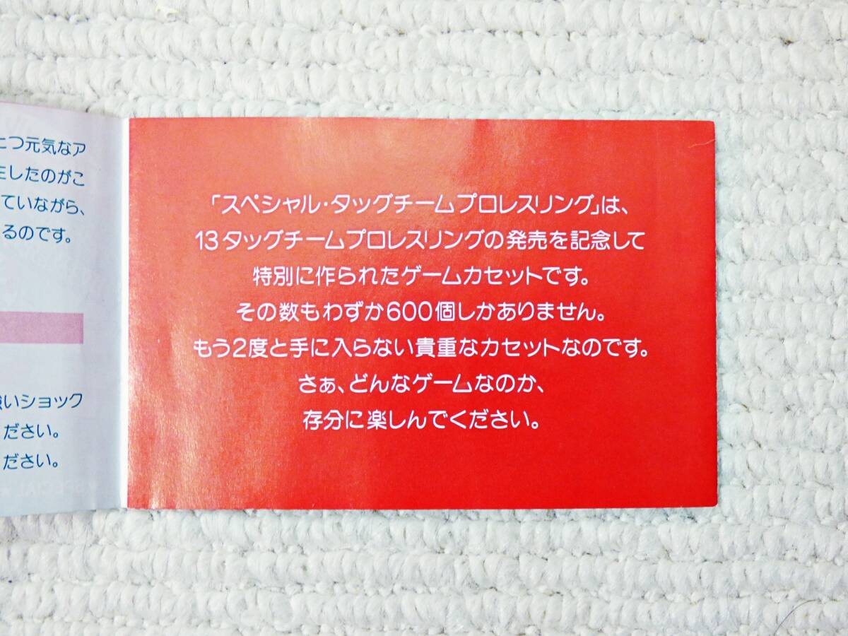 非売品 懸賞品 送料無料 スペシャル・タッグチームプロレス 非売品 懸賞品 送料無料 スペシャル・タッグチームプロレス