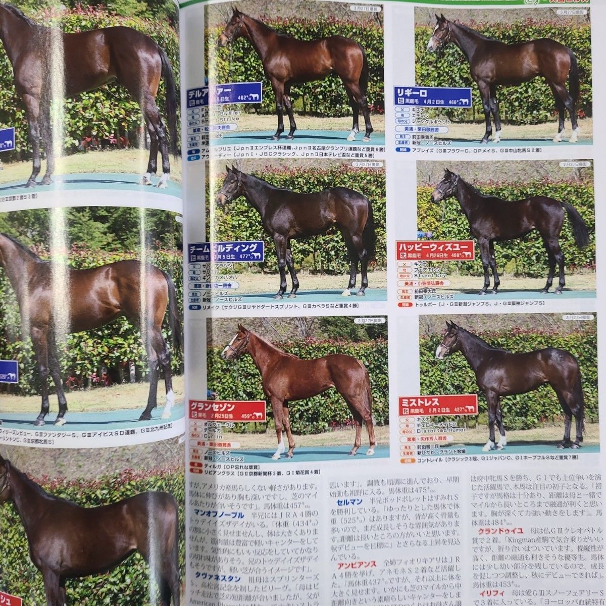 匿名配送、送料無料、即購入OK!週刊ギャロップ臨時増刊POG2024~2025ザッツPOG2つセット