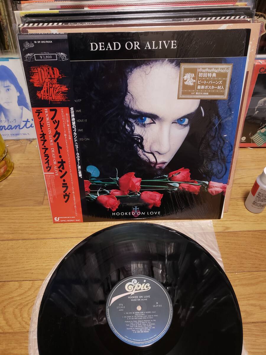 Dead or Alive デッド　オア　アライヴ　LP　シュリンク密封 フックト　オン　ラヴ　ポスター付き_画像1