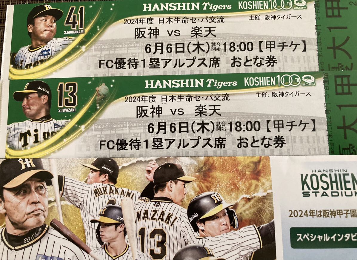 6月6日(木) 阪神タイガースVS楽天イーグルス　1塁アルプス指定席　通路側からのペアチケット_画像1