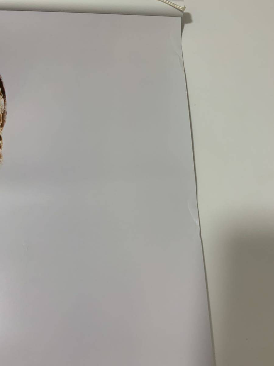 ★レア/冨永愛 ライオン「Ban」B1(103×72.8cm)紙製 両面 タペストリー /ポスター 販促 広告 モデル_画像7