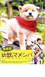 ケース無::【ご奉仕価格】映画版 幼獣マメシバ レンタル落ち 中古 DVD_画像1