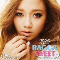 ケース無::【ご奉仕価格】渋谷 RAGGA SWEET COLLECTION 2 2CD レンタル落ち 中古 CD_画像1