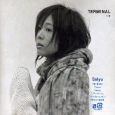 ケース無::【ご奉仕価格】TERMINAL 通常盤 レンタル落ち 中古 CD_画像1