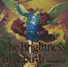 ケース無::【ご奉仕価格】The Brightness In Rebirth レンタル落ち 中古 CD_画像1