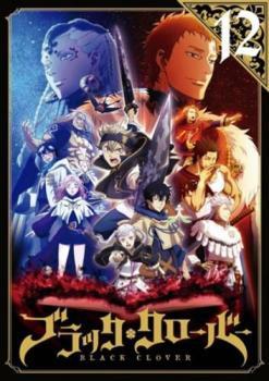 【ご奉仕価格】ブラッククローバー 12(第45話～第48話) レンタル落ち 中古 DVD_画像1