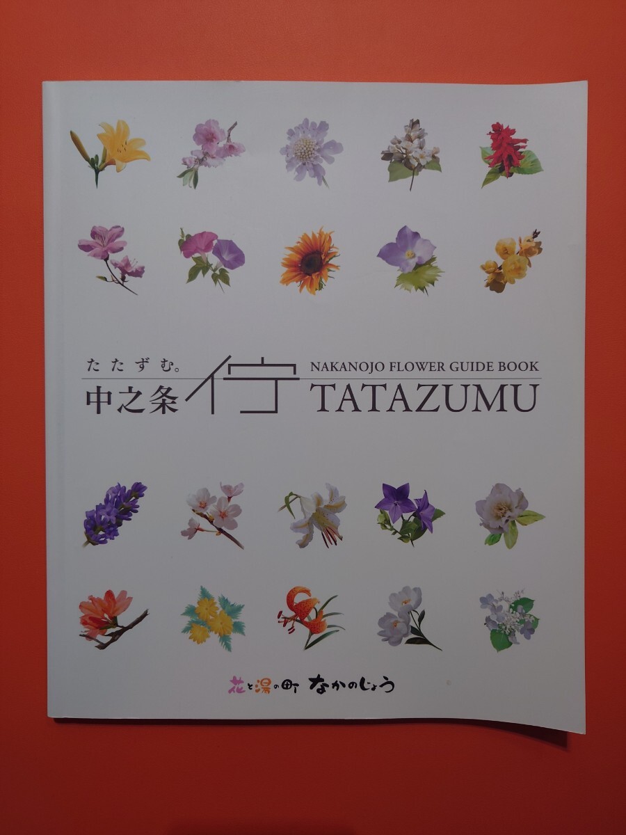 たたずむ。中之条　中之条町の花のガイドブック　中之条町観光協会　高山植物　_画像1