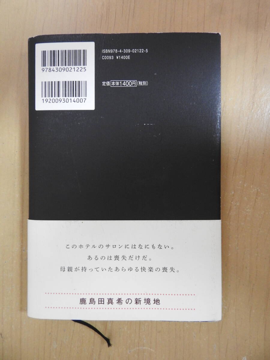 「冥土めぐり」 鹿島田真希 ハードカバー 単行本 河出書房新社 芥川賞受賞作_画像3