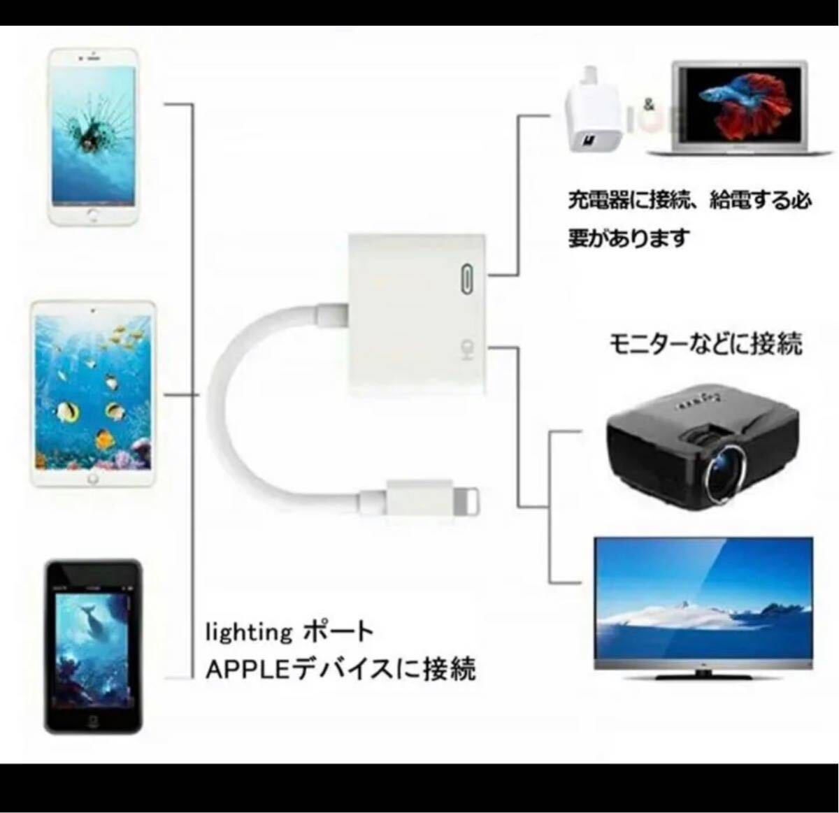 iphone HDMI変換ケーブルiphoneテレビ接続ケーブルの画像4