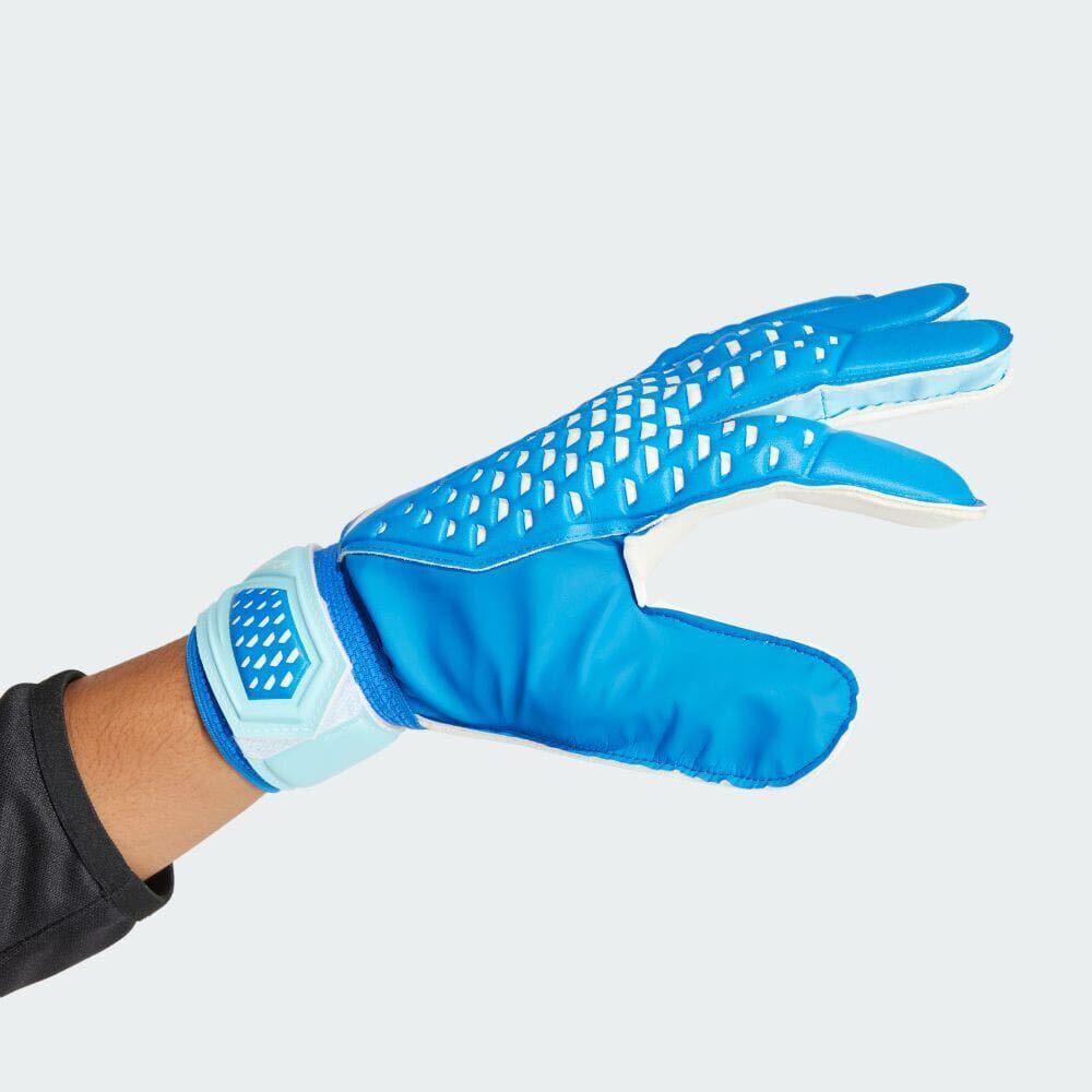  new goods adidas [8] Predator GL training keeper glove Adidas GK soccer PREDATOR GL TRAINING 0876 blue futsal gloves 