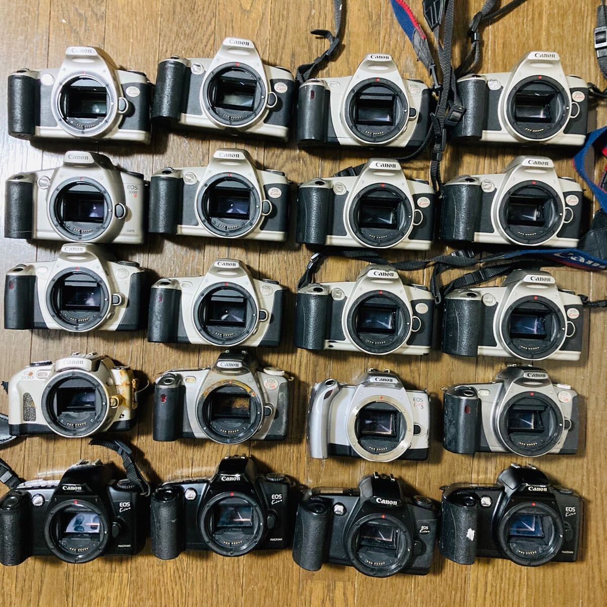 計20点 Canon用 EOS KISSシリーズ 純正 一眼レフ フィルムカメラ まとめ売り 動作未確認 大量出品の画像1