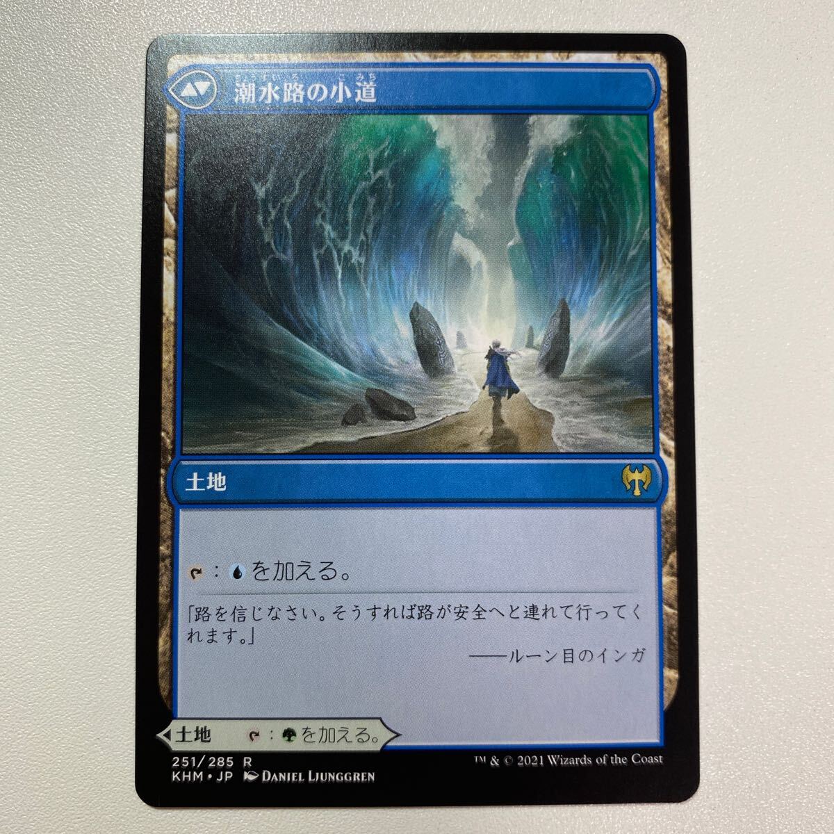 樹皮路の小道　日本語　MTG カルドハイム_画像2