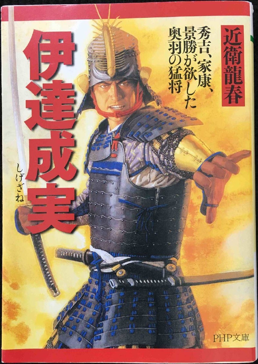 大脱走 英雄〈ビッグX〉の生涯 (小学館文庫 ヒ 3-1) 一般 大脱走 英雄〈ビッグX〉の生涯 (小学館文庫 ヒ 3-1) 一般