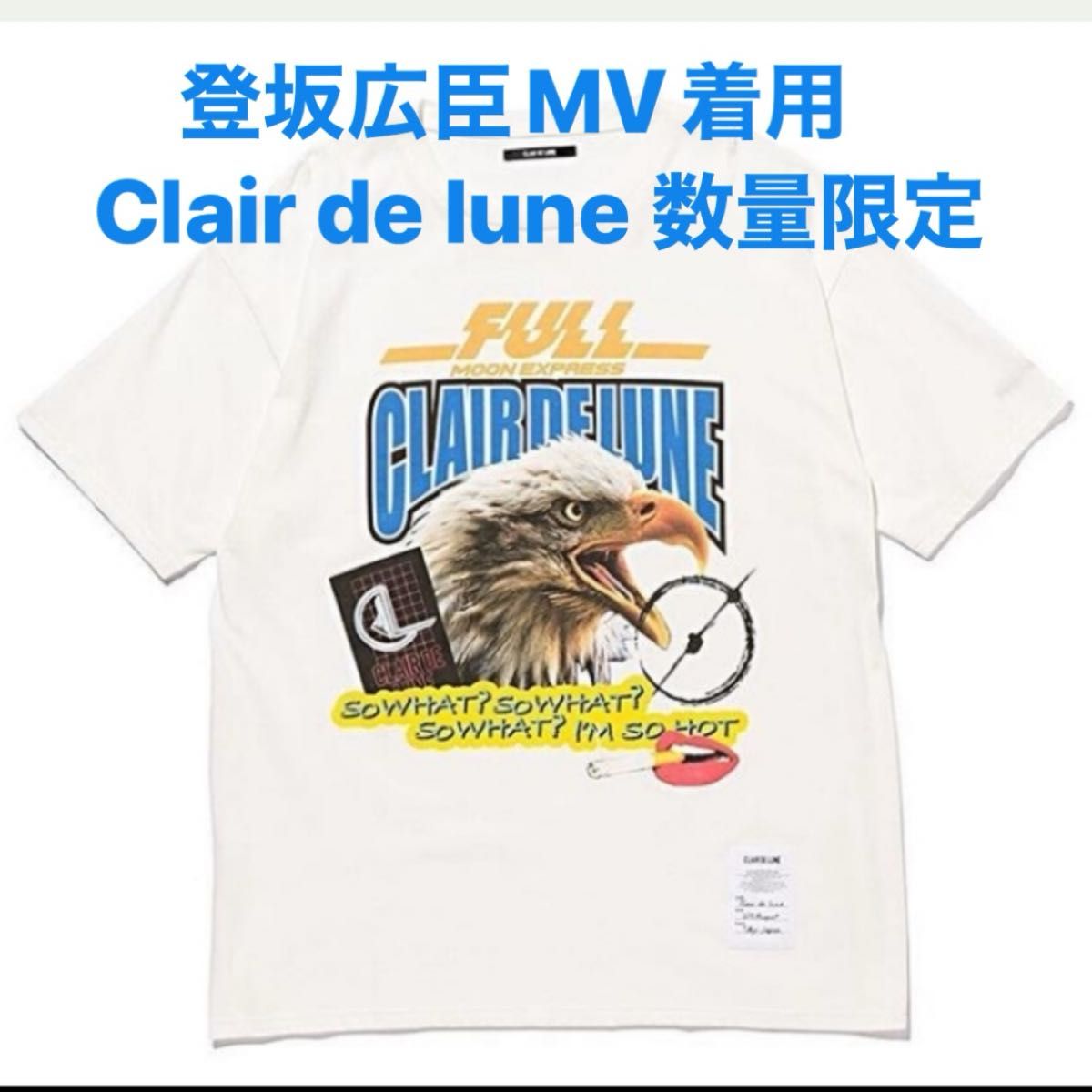 【新品未使用】Clair de lune Tシャツ 登坂広臣 OMI MV着用デザイン クレルナ レア品