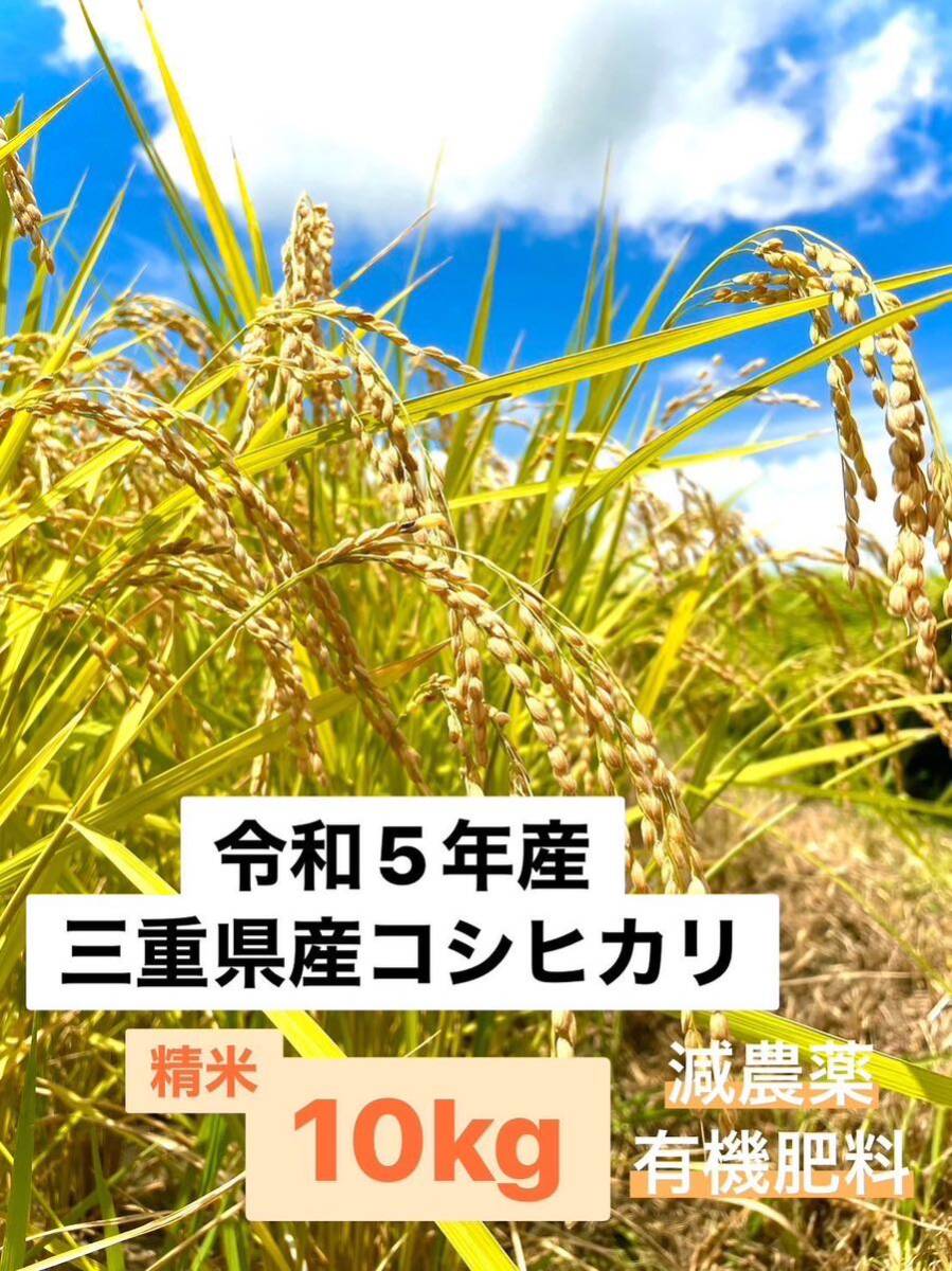 令和5年収穫　三重県産コシヒカリ 10kg 精米（白米）　産地・農家直送_画像1