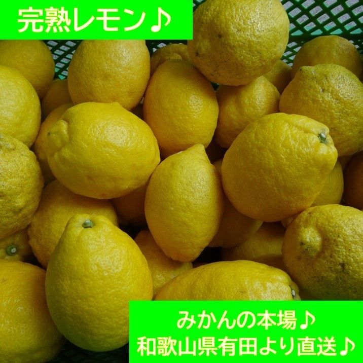 完熟レモン♪ 4kg♪ 和歌山県有田より♪ 農家直送♪ 正味重量4kg♪ 半年以上農薬不使用♪